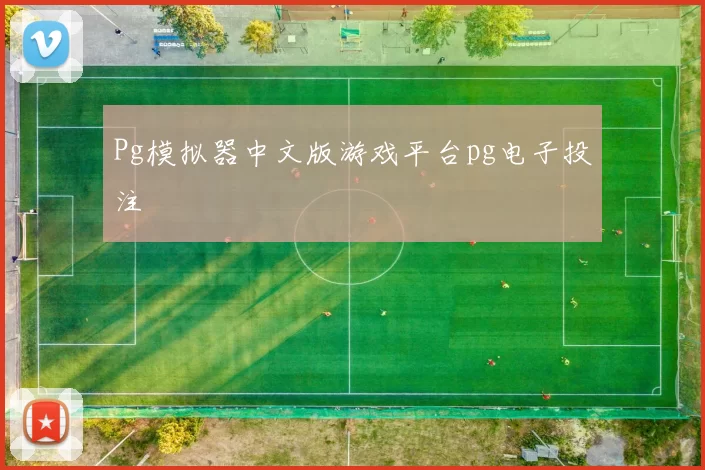Pg模拟器中文版游戏平台pg电子投注