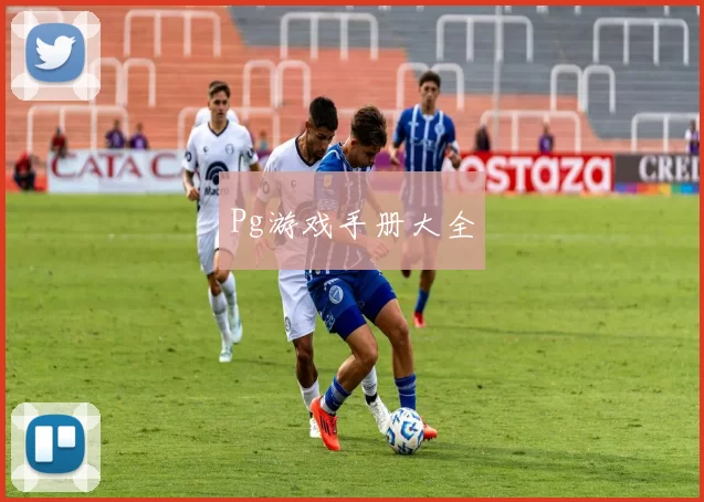Pg游戏手册大全