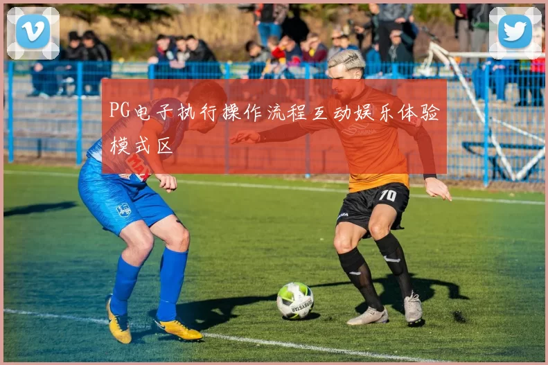 PG电子执行操作流程互动娱乐体验模式区