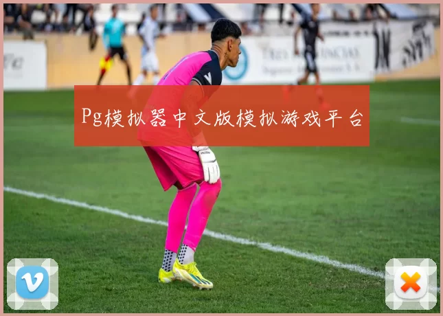 Pg模拟器中文版模拟游戏平台