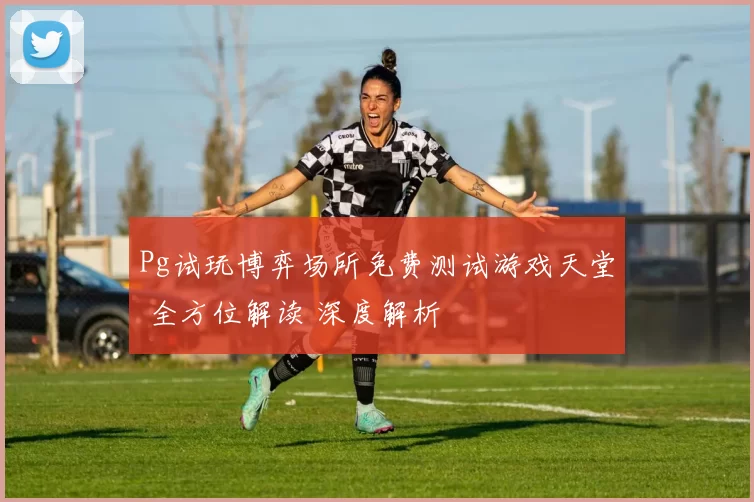 Pg试玩博弈场所免费测试游戏天堂 全方位解读 深度解析