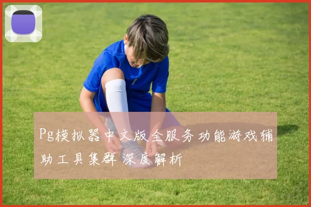 Pg模拟器中文版全服务功能游戏辅助工具集群 深度解析
