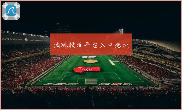 试玩投注平台入口地址
