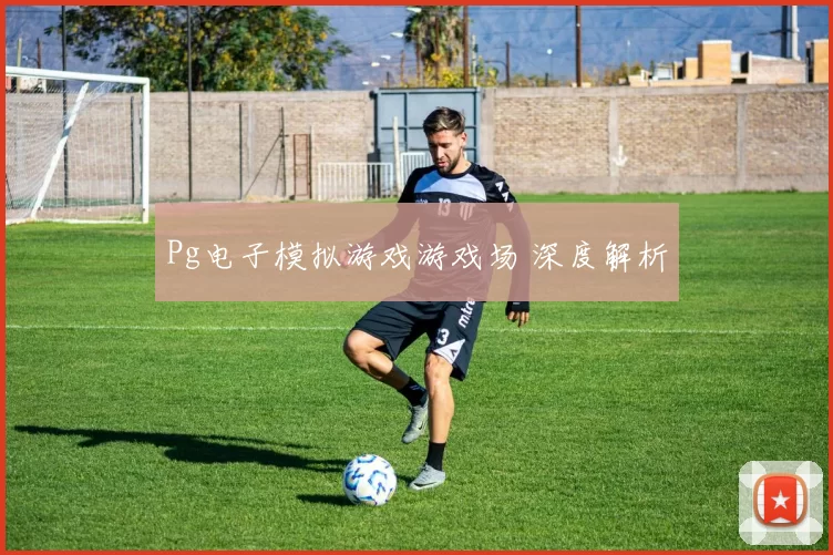 Pg电子模拟游戏游戏场 深度解析