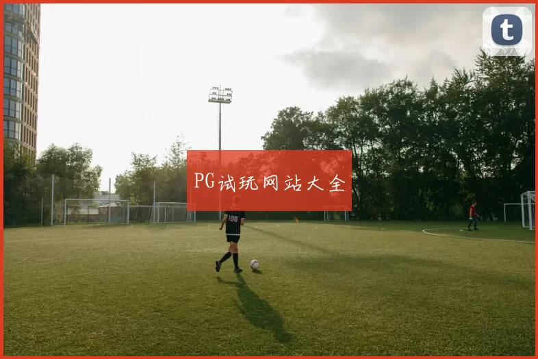 PG试玩网站大全