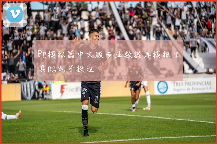 Pg模拟器中文版专业数据库模拟工具pg电子投注